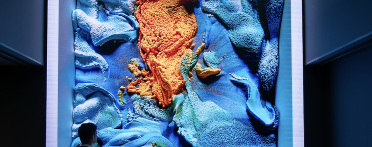 refik-anadoldanturkiye-flora